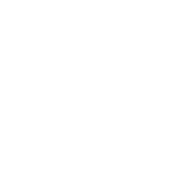Simplicity and Speed Icon